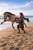 Horse ad