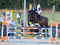 Annuncio cavallo