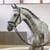 Annuncio cavallo