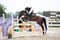Horse ad