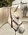 Annuncio cavallo