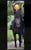 Horse ad