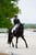 Horse ad
