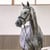 Annuncio cavallo