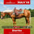 Annuncio cavallo
