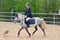 Horse ad