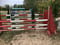 Annonce cheval