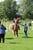 Paardadvertentie