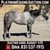 Horse ad