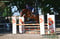 Annuncio cavallo