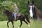 Horse ad