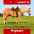 Annonce cheval