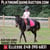 Horse ad