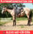 Horse ad