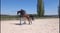 Horse ad