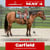 Horse ad