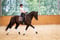 Pferdeinserat