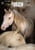 Horse ad