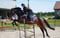 Horse ad