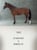 Annuncio cavallo