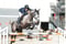 Horse ad