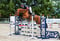 Horse ad