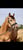 Annuncio cavallo