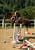 Horse ad