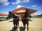 Horse ad