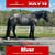 Annuncio cavallo