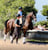 Horse ad