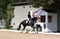 Horse ad