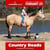 Horse ad