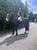 Horse ad
