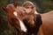 Horse ad