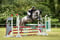 Horse ad