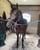 Annonce cheval