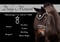 Horse ad