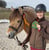 Annuncio cavallo