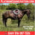 Horse ad
