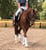 Horse ad