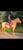 Paardadvertentie
