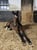 Annuncio cavallo