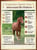Paardadvertentie