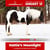 Horse ad