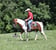 Horse ad