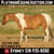 Horse ad
