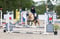 Annuncio cavallo