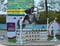 Annuncio cavallo