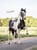 Horse ad